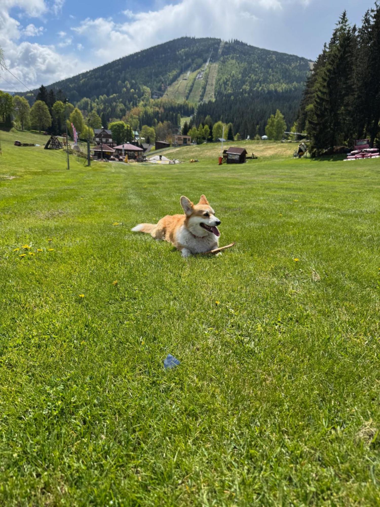 Corso Panorama * Harrachov
